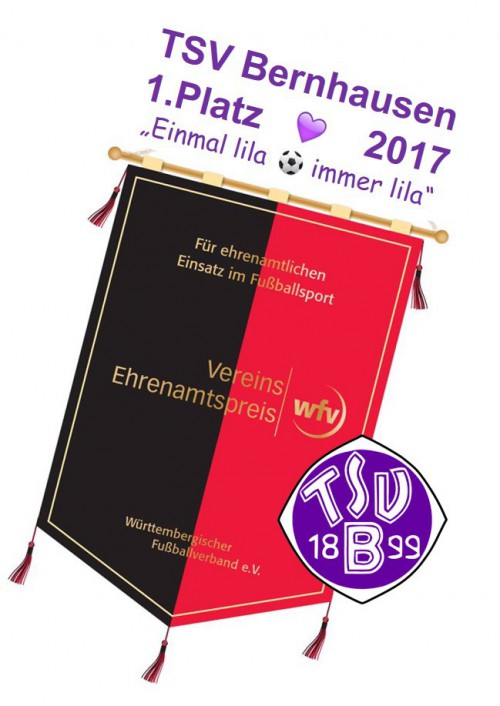 WFV-Ehrenamtspreis für TSV Bernhausen Stuttgarter N/Z 28.12.