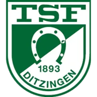 TSF Ditzingen