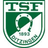 TSF Ditzingen