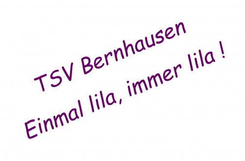 Homepage - Steigerung auf   Ø 447 User / Tag