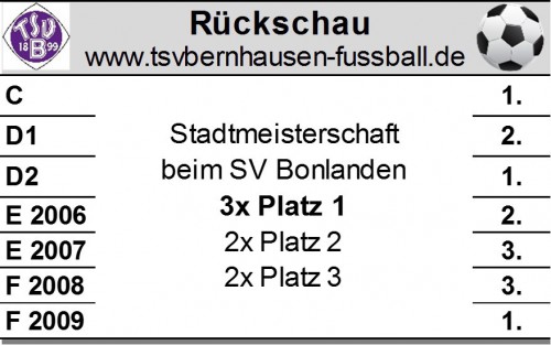 Jugend-Stadtmeisterschaften - Neue Info: D1 errang 2.Platz