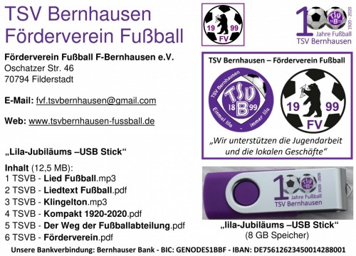 Lila Jubiläums-USB Stick