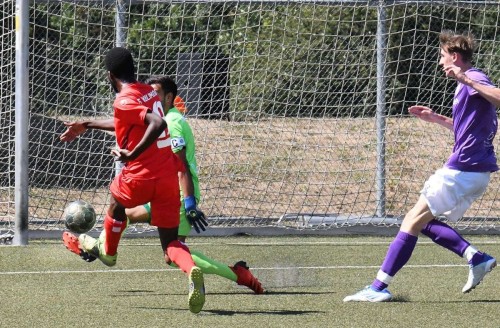 Stgt N/Z FZ-Auszug Lokales - Sport 8.8.22   Zwei Neue als Torschützen