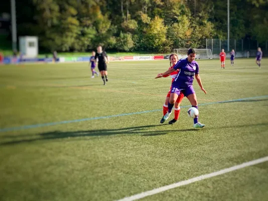 06.11.2022 TSG Backnang vs. TSV Bernhausen