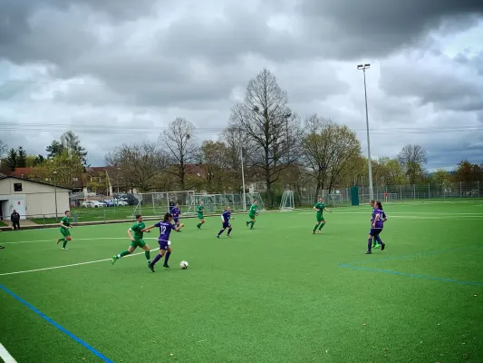 02.04.2023 SV Hegnach II vs. TSV Bernhausen