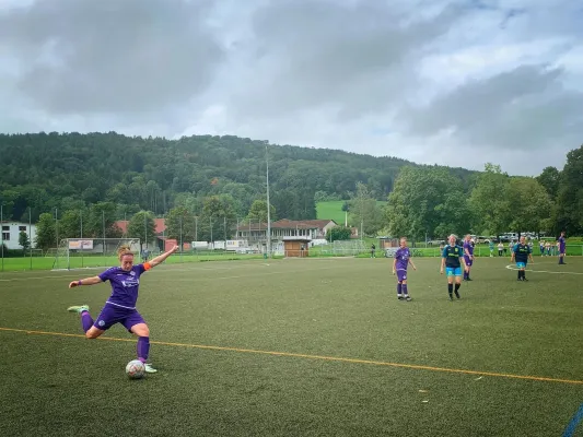 13.08.2023 TSV Schlechtbach vs. TSV Bernhausen