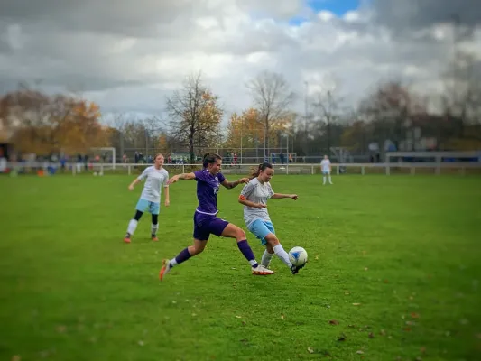 19.11.2023 TSV Steinhaldenfeld vs. TSV Bernhausen