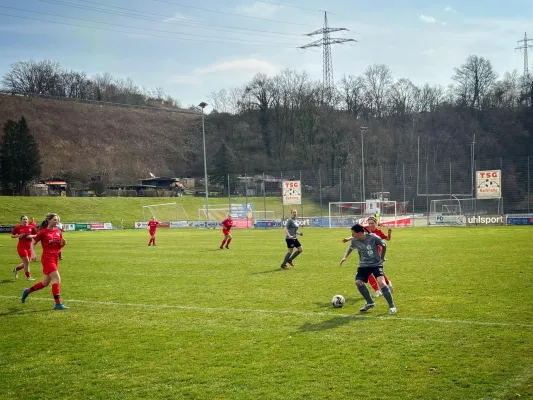 23.03.2025 TSG Backnang vs. TSV Bernhausen