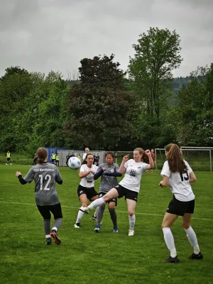 04.05.2025 SGM VfR Birkmannsw/S vs. TSV Bernhausen