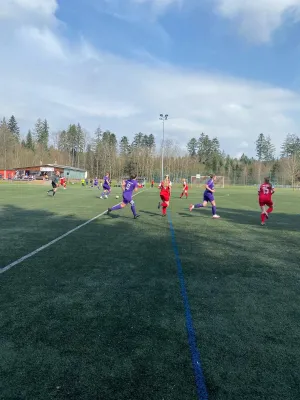 23.03.2025 FC Welzheim 06 vs. TSV Bernhausen II