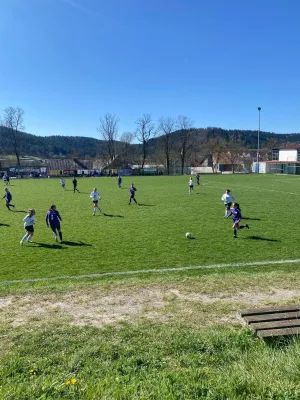 06.04.2025 SGM Rottal/​SK Ficht vs. TSV Bernhausen II