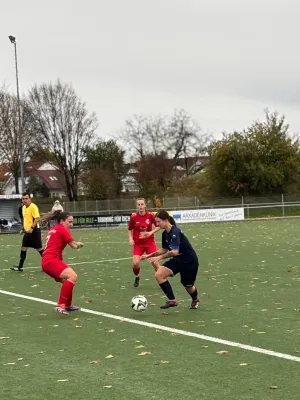 02.11.2025 TSV Leinfelden vs. TSV Bernhausen II
