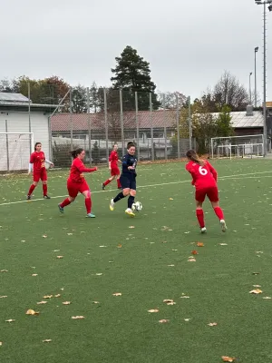 02.11.2025 TSV Leinfelden vs. TSV Bernhausen II