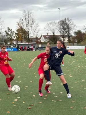 02.11.2025 TSV Leinfelden vs. TSV Bernhausen II