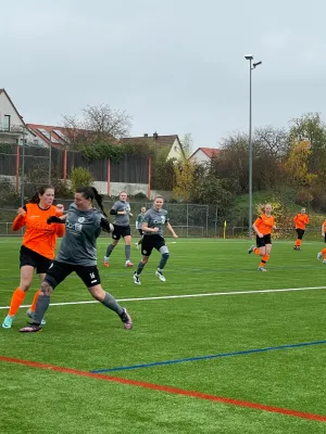 09.11.2025 1.FC Lauchhau 04 vs. TSV Bernhausen